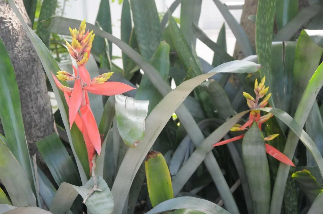 Bahama Gardens - Cigar House Villa Key West Holiday home